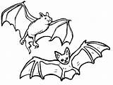 Bat Coloring Pages Realistic Getcolorings Color sketch template