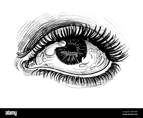 mujer hermosa ojos  largas pestanas dibujo en blanco  negro de tinta fotografia de stock