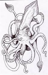 Calamar Octopus Squid Pulpo Kracken Kraken Tatuaje Tatto Pulpos Dessin Really Ilustracion Woodcutting Pleased Tinta Pieuvre Bocetos Savoir sketch template