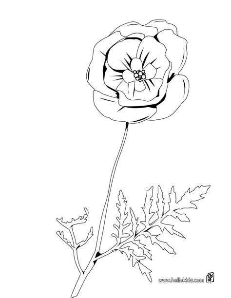 beautiful poppy coloring page  kids   ages add  colors