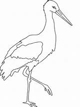 Stork Coloring Pages Ooievaar Stock Witte Color Getcolorings Print Preview Birds Printable Recommended sketch template