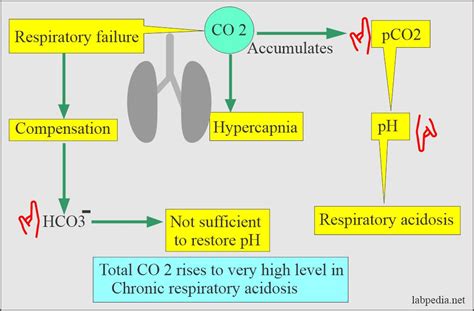 acid base balance part 3 respiratory acidosis and respiratory