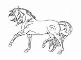 Breyer Coloring Pages Horse Secretariat Getcolorings Getdrawings Color Library sketch template