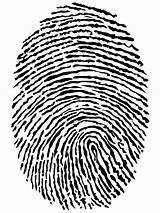 Fingerprint Search Google Transparent Pluspng Categories Featured Related sketch template