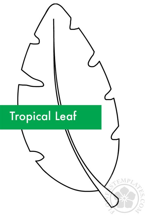 tropical leaf outline flowers templates