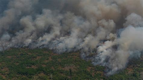 caused  amazon rainforest fires