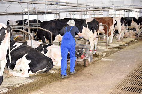 grow  dairy farm  embracing  tech