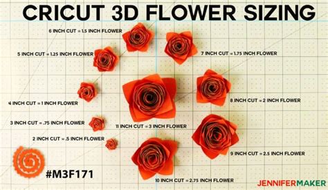 cricut paper flower sizing guide  sizes   inches   inches