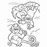 Monkeys Apes Surfnetkids sketch template