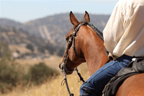 study examines health benefits  horseback riding texas  today