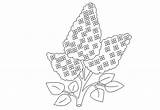 Lilac Coloring Flower Drawing Kids sketch template