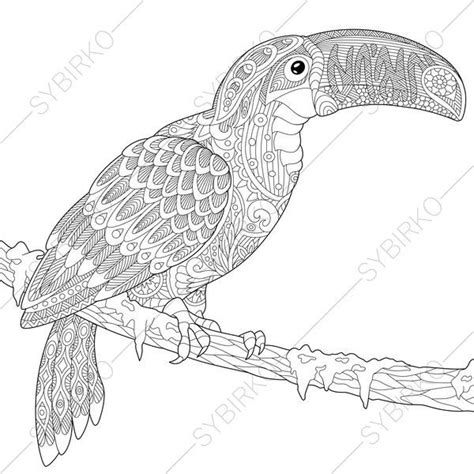 coloring page  adults digital coloring pages toucan bird etsy