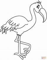 Ausmalbilder Flamingo sketch template