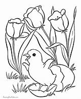 Coloring Pages Easter Flower Flowers Spring Printing Help sketch template