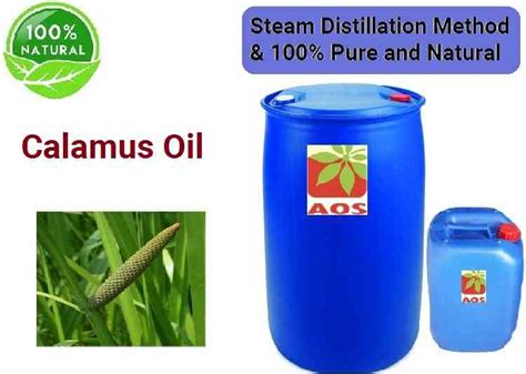 Calamus Oil 17 Uses And Benefits Manufacturer And Exporter