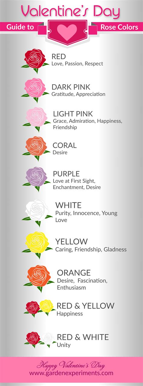 rose color meanings and symbolism