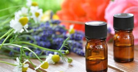 a guide to essential oils infographic mindbodygreen