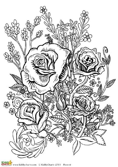 adorable  flower coloring pages  adults