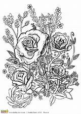 Coloring Pages Adults Flower Adult Cool Flowers Printable Roses Rose Sheets Book Four Designs Books Kiddycharts Site Freebies Printables Loads sketch template
