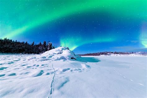 aurora borealis       northern lights