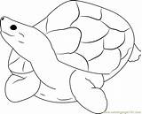 Coloring Turtle Sitting Pages Coloringpages101 sketch template