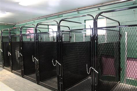 pin  ayla watt  dog daycare dog boarding kennels dog boarding facility luxury dog kennels