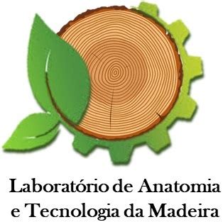 lantom laboratorio de anatomia  tecnologia da madeira