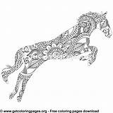 Zentangle Horse Coloring Pages Pattern Easy Getcoloringpages sketch template
