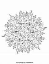 Leaves Primarygames sketch template