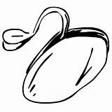 Seed Outline Clipart sketch template