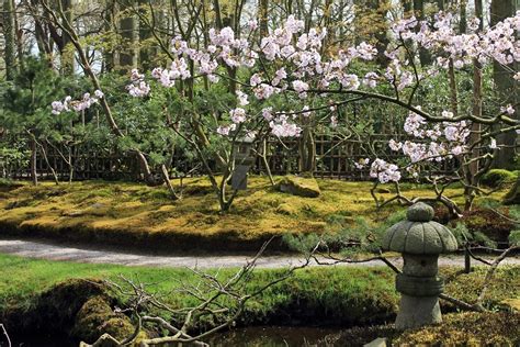 bezoek stukje japan in nederland meer dan vijftig
