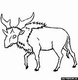 Prehistoric Mammals Coloring Pages Sidney Crosby Printable Template Sivatherium sketch template