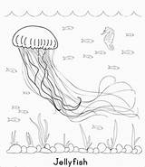 Jellyfish Coloring Ocean Pages Coloringbay sketch template