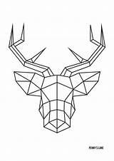 Rendier Tekening Geometrische Muur Deer Pennyslane sketch template