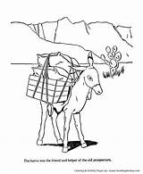 Donkeys sketch template