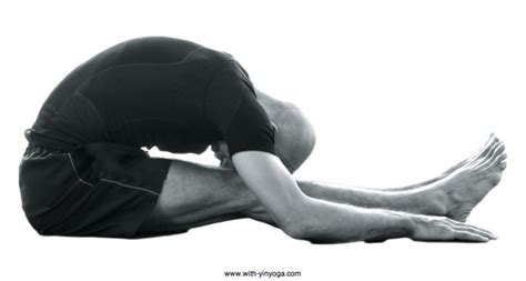 experience  benefits  yin yoga   poses  yin yoga