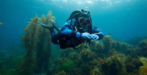 effects  cold water diving  tips  counteract  naui sources blog