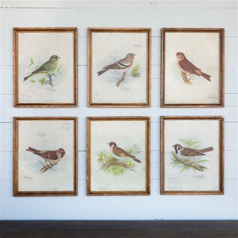 vintage bird prints bird prints farmhouse wall art vintage birds