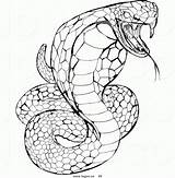 Cobra Snake Coloring Pages King Logo Ninjago Head Clipart Rattlesnake Animals Venomous Royalty Drawing Printable Color Viper Drawings Draw Stock sketch template