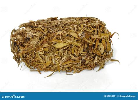 dried cannabis stock image image
