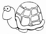 Slow Turtle Animals Very Pages2color Pages Cookie Copyright sketch template