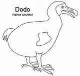 Dodo Bird Outline Coloring Pages Netart Birds Getcolorings sketch template