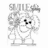 Coloring Maltese Pages Dog Spring Adult Dogs Colouring Printable Adults Color Butterfly Books Animals Easter Book Copics Activities Quote Template sketch template