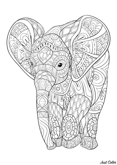 young elephant elephants adult coloring pages