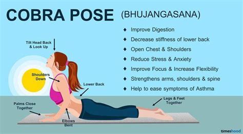 cobra pose bhujangasana yoga  beginners yogabenefits yoga
