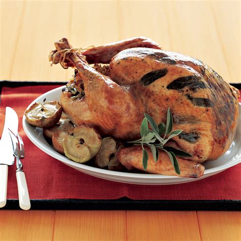easy turkey recipes martha stewart