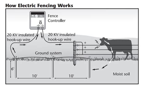 electric fence wiring diagram