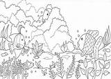 Nature Aquarium Coloring Life sketch template