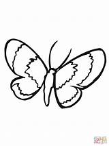 Moth Lepidoptera Coloring Pages Online Color sketch template