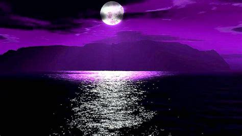 violet moon runitedbluerepublic